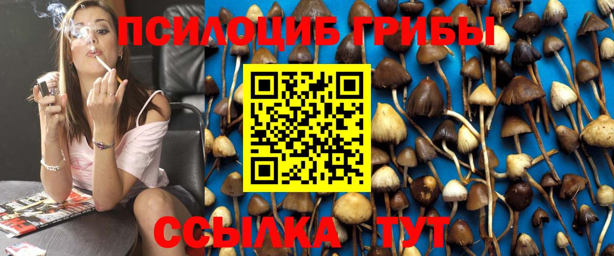 Галлюциногенные грибы ЛСД Топки