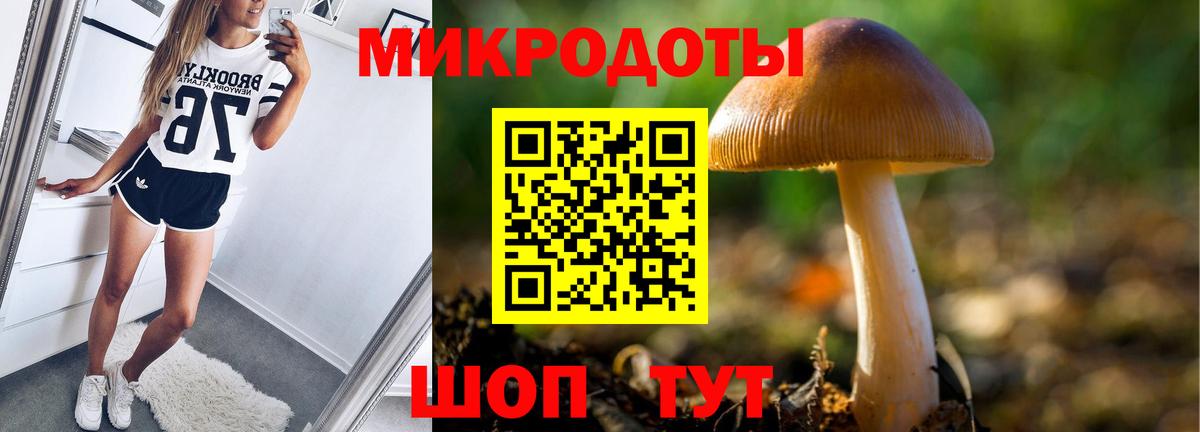 Топки  Псилоцибиновые грибы Psilocybine cubensis  Вход с VPN 
